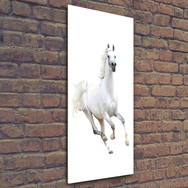 Fotografie imprimată pe sticlă cal alb în galop