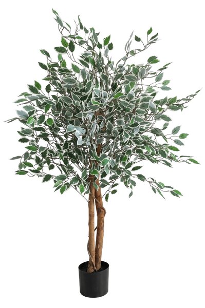 Ficus artificial pestriț într-un ghiveci, înălțime 130 cm