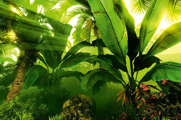 Fototapetă vlies pădure tropicală tropicală 375 x 250 cm