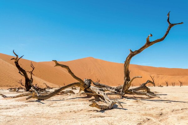 Fototapetă vlies deșert arid 375 x 250 cm