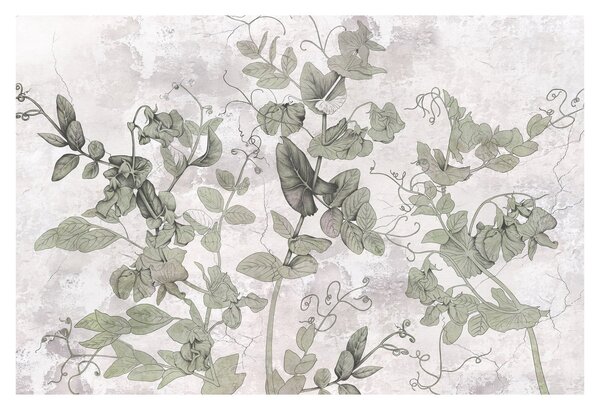 Tablou - Plante in ipsos (90x60 cm)