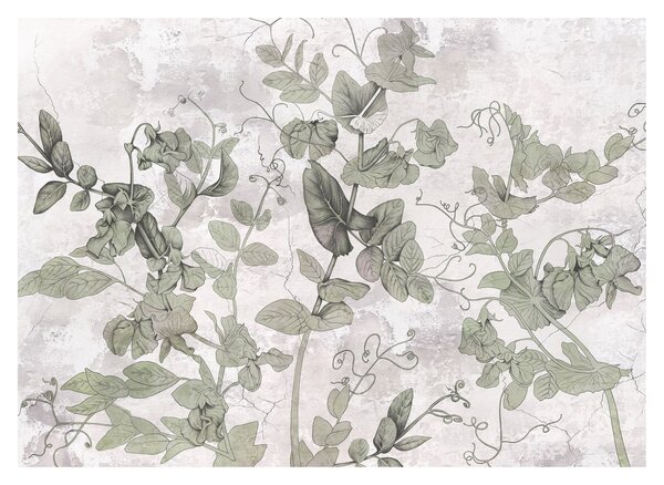 Tablou - Plante in ipsos (70x50 cm)