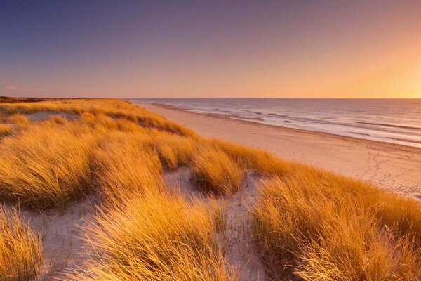 Fototapetă vlies dune înalte 375 x 250 cm