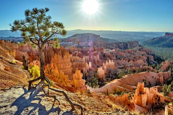 Fototapetă vlies parcul național bryce canyon 375 x 250 cm