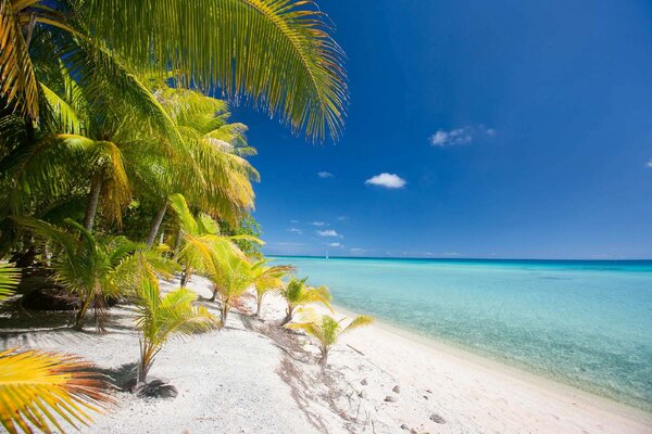 Fototapetă vlies plajă pe o insulă tropicală 375 x 250 cm