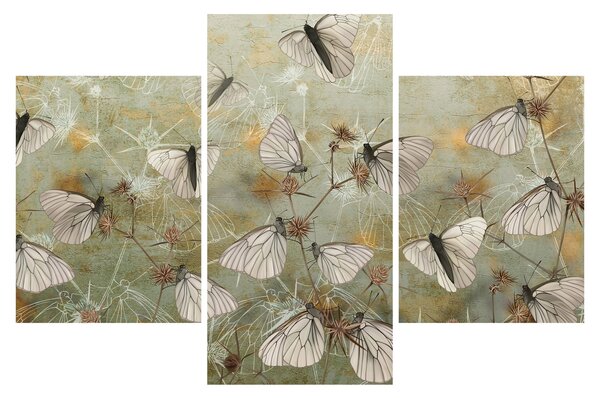 Tablou - Vintege fluturi (90x60 cm)