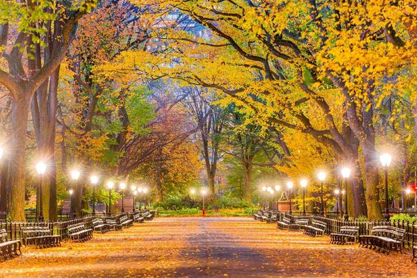 Fototapetă vlies central park în toamnă 375 x 250 cm