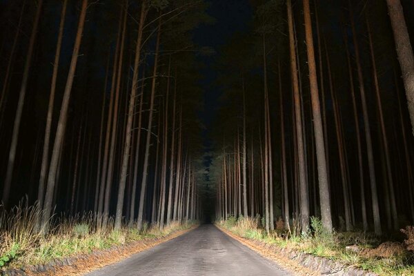 Fototapetă vlies vedere nocturnă a drumului 375 x 250 cm