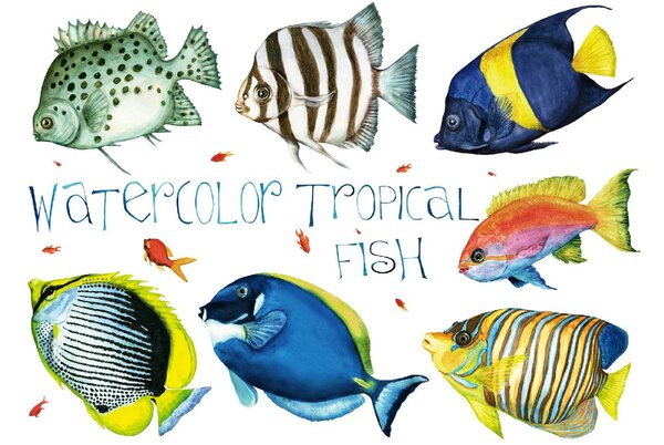 Fototapetă vlies pești tropicali 375 x 250 cm