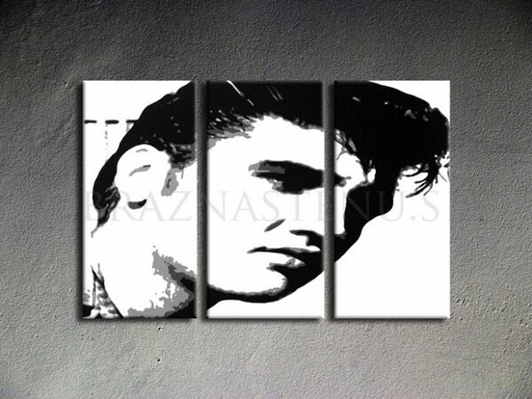 Tablou POP ART pictat manual ELVIS 120x80 cm