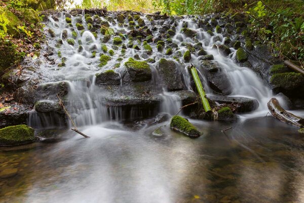 Fototapetă vlies marlay park, irlanda 375 x 250 cm