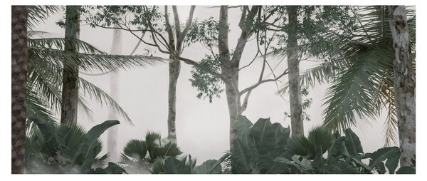 Tablou - Jungla în ceața dimineții (120x50 cm)