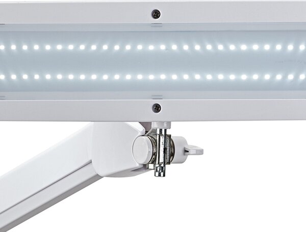 Maul MAULintro LED lampă de lucru, alb, 52 cm, bază cu clemă, reglabil, Alb, Studiu / Birou, Metal