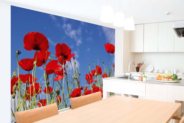 Fototapetă din vlies autocolantă maci roșii 375 x 250 cm