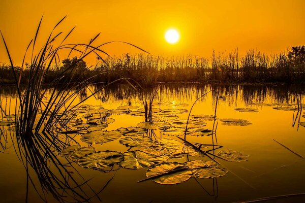Fototapetă vlies lac în thailanda 375 x 250 cm