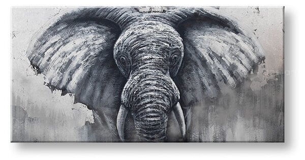 Tablou canvas SLON 1 parte XOBCH13AN0025SET-E1 - 80x40 cm