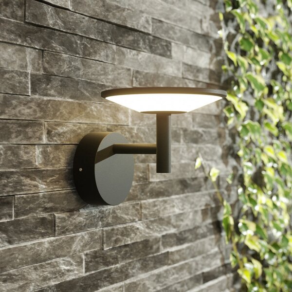 Lucande LED lampă de perete pentru exterior Fenia, antracit, aluminiu, IP65, Negru, Aluminiu, Modern
