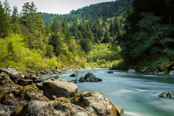 Fototapetă vlies râul smith, california 375 x 250 cm