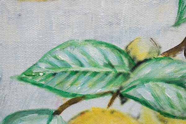 Tablou pictat pe perete CITRONS 1 parte 60x60 cm - 60×60 cm / Clasic 2 cm