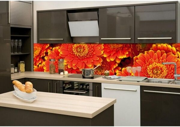Fototapet pentru bucătărie - gerbera 260 x 60 cm
