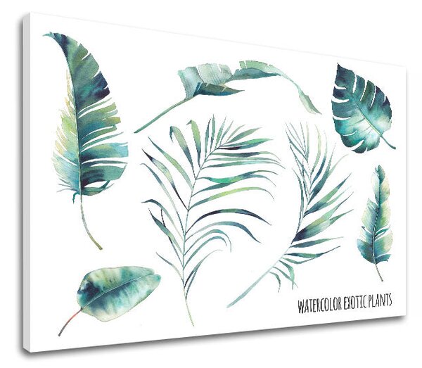 Tablou de perete cu text Acuarelă plante exotice - 20x30 cm