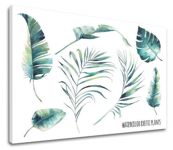 Tablou de perete cu text Acuarelă plante exotice - 20x30 cm