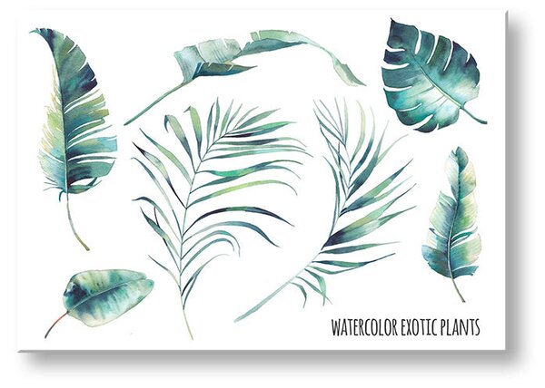 Tablou de perete cu text Acuarelă plante exotice - 20x30 cm