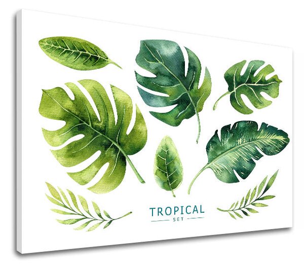 Tablou de perete cu text Set tropical - 20x30 cm