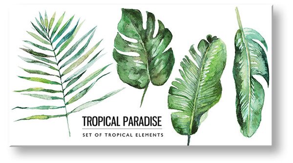 Tablou de perete cu text Tropical paradise - 30x60 cm