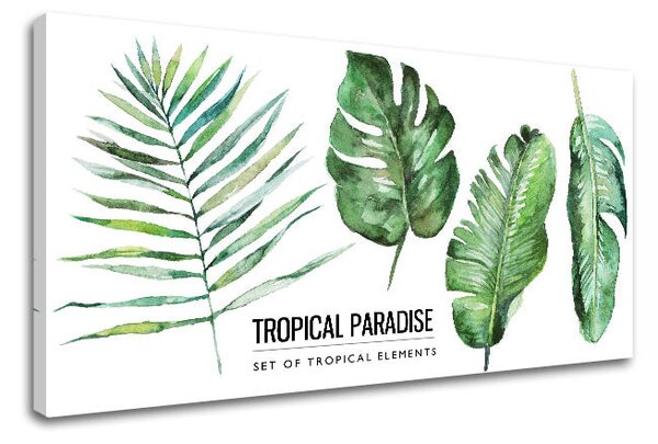 Tablou de perete cu text Tropical paradise - 30x60 cm