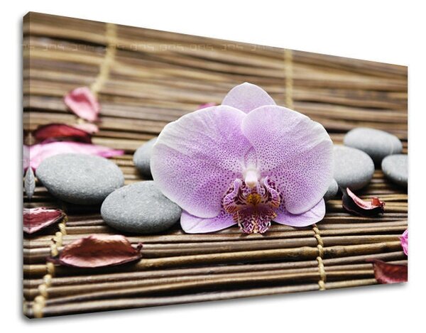 Tablou de perete FENG SHUI - 20x30 cm