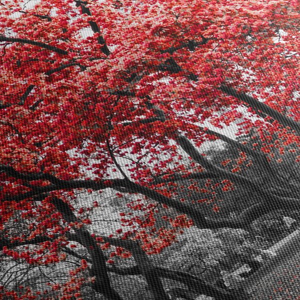 Tablou - Copacii roșii, Central Park, New York (90x60 cm)