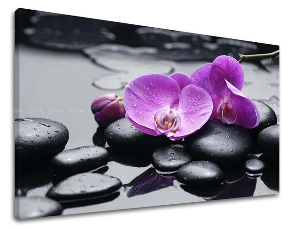 Tablou de perete FENG SHUI - 20x30 cm