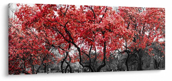 Tablou - Copacii roșii, Central Park, New York (120x50 cm)