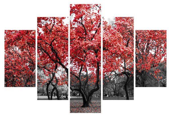 Tablou - Copacii roșii, Central Park, New York (150x105 cm)