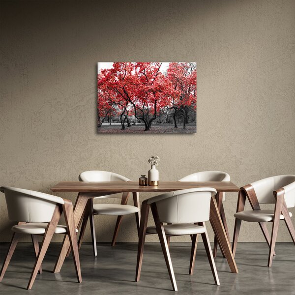 Tablou - Copacii roșii, Central Park, New York (70x50 cm)