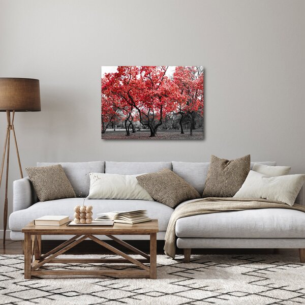 Tablou - Copacii roșii, Central Park, New York (70x50 cm)