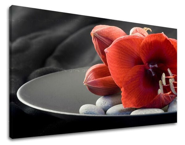 Tablou de perete FENG SHUI - 20x30 cm