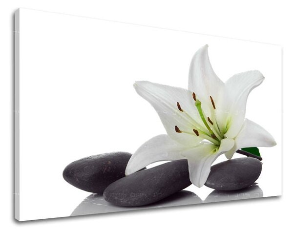 Tablou de perete FENG SHUI - 20x30 cm