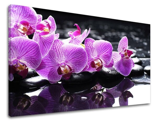 Tablou de perete FENG SHUI - 20x30 cm