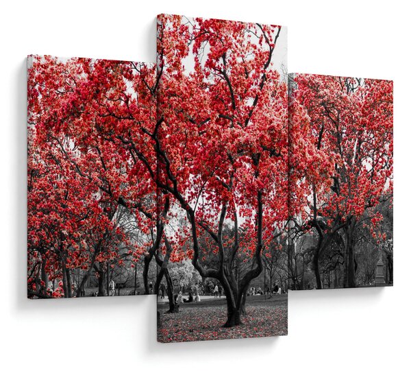 Tablou - Copacii roșii, Central Park, New York (90x60 cm)