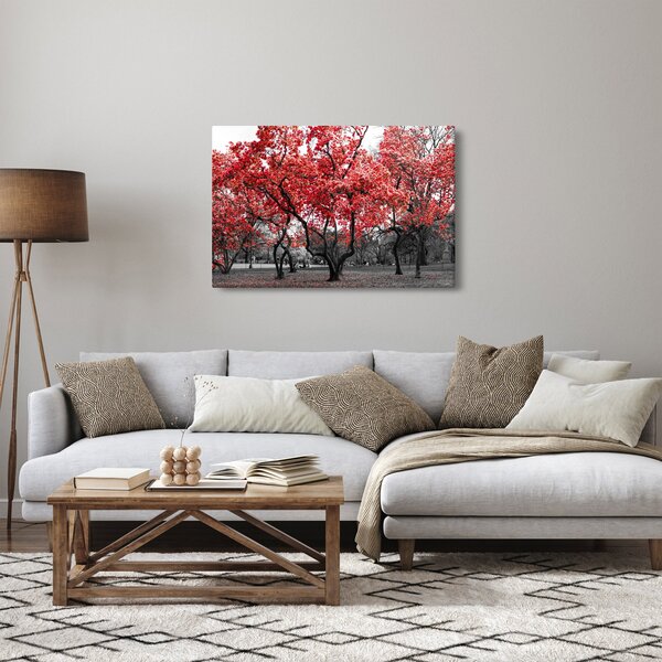 Tablou - Copacii roșii, Central Park, New York (90x60 cm)