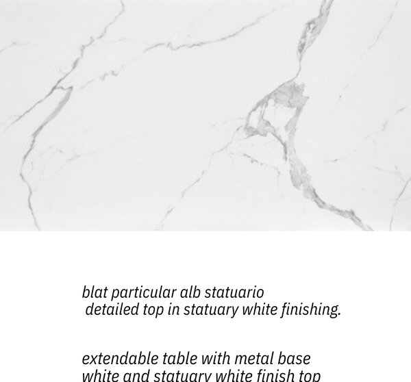 MASA BIANCO STATUARIO - STICLA CERAMICA CU PICIOR METALIC - NEGRU