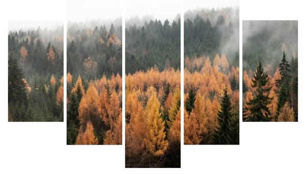 Tablou - Pădure toamna (150x105 cm)