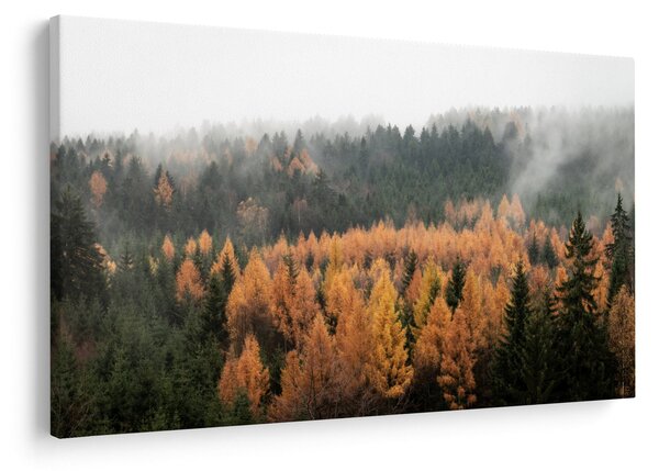 Tablou - Pădure toamna (90x60 cm)