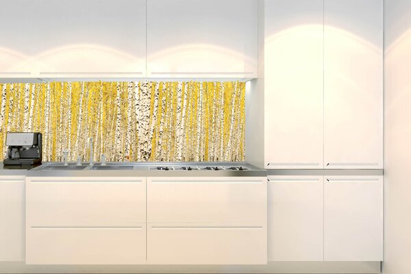 Fototapet pentru bucătărie - dumbravă de mesteceni galbeni 180 x 60 cm