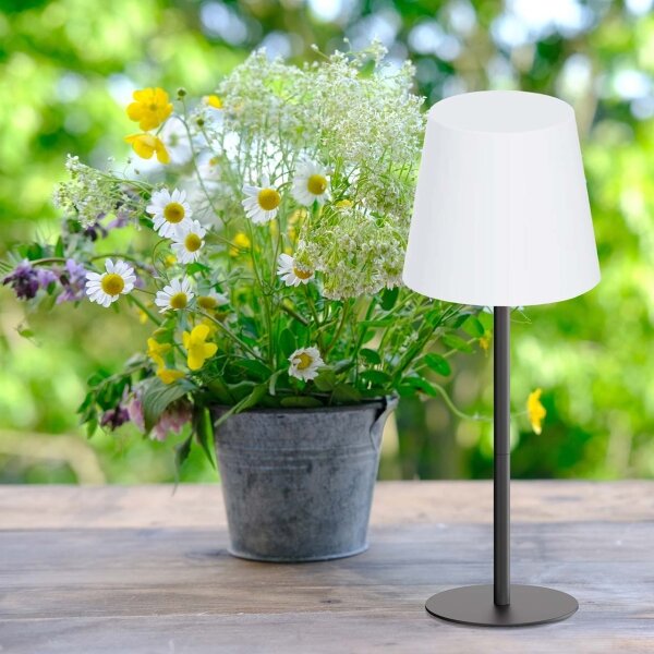 Lampă de masă tactilă RGB dimabilă LUCIA, LED/2W/5V, 3600 mAh, IP44, negru