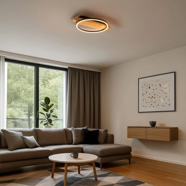 Plafonieră LED MELISA, 12 W, 230 V, 30 x 40 cm, pin