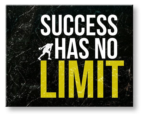 Tablou de perete motivațional despre succes_009 - 20x30 cm