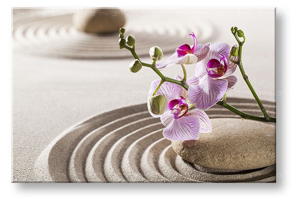 Tablou canvas FENG SHUI_051-11 - 20x30 cm